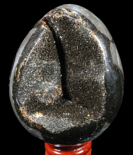 Septarian Dragon Egg Geode - Black Crystals #83208